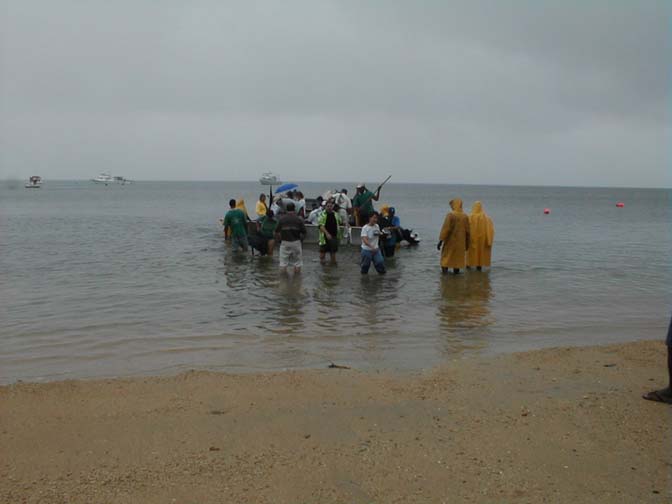 Wading to Shore